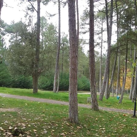 Camping Caravaning Cuenca كوينكا المظهر الخارجي الصورة