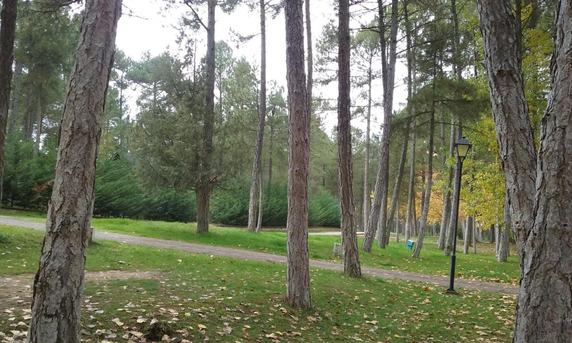 Camping Caravaning Cuenca كوينكا المظهر الخارجي الصورة